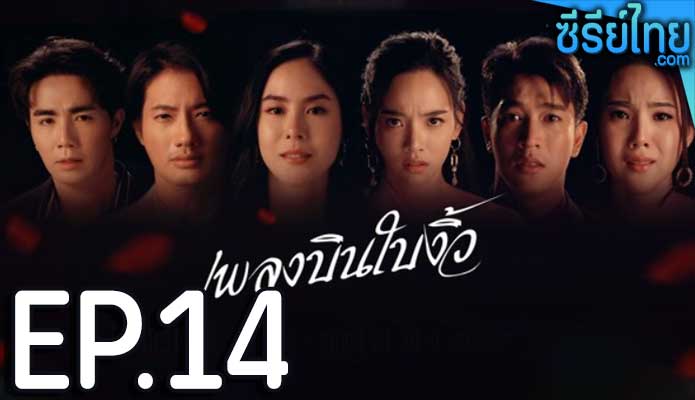 เพลงบินใบงิ้ว ตอน 14