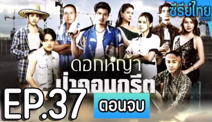 ดอกหญ้าป่าคอนกรีต ตอน 37 (ตอนจบ)