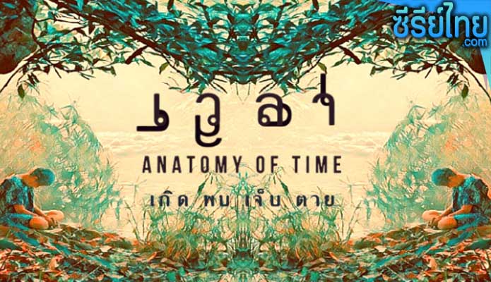 เวลา Anatomy of Time