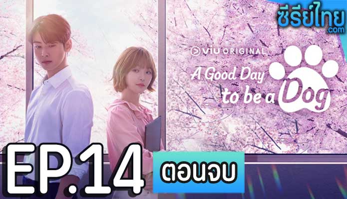 A Good Day to Be a Dog ตอน 14 (ตอนจบ)