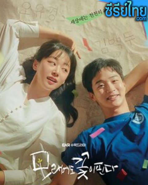 Like Flowers in Sand (2023) ดอกไม้สังเวียนทราย ตอนที่ 1-11 (ซับไทย)